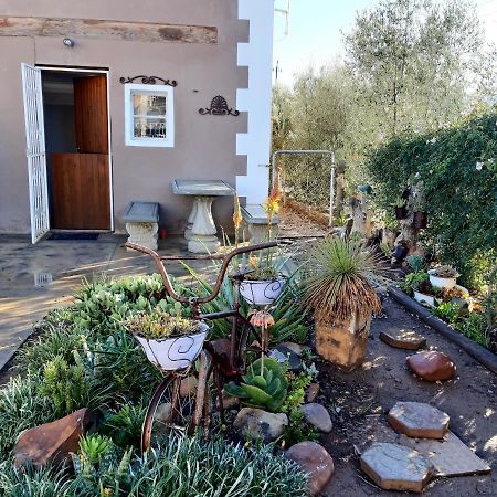 Carmel Villa B&B Or Self-Catering Calvinia Luaran gambar
